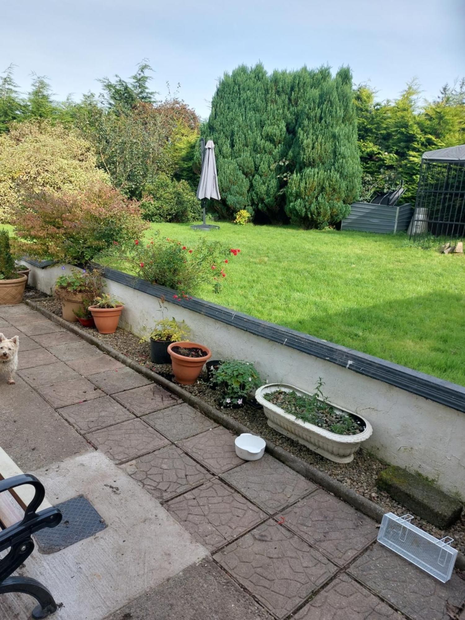 Hillside Haven Apartment Tipperary Exterior photo